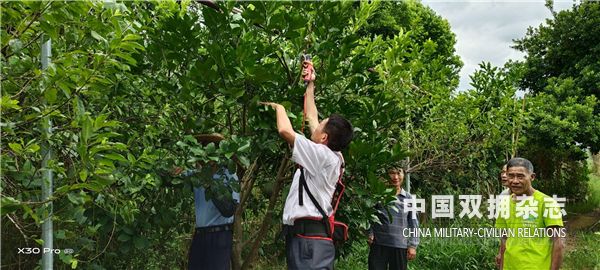 1600850021963775.jpg 66.jpg