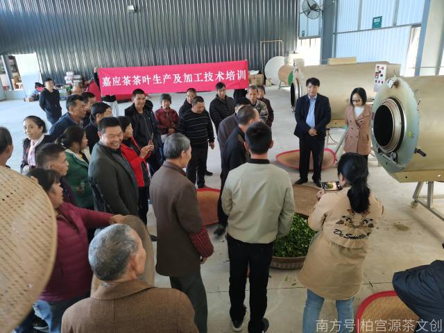 教授們帶領農戶實操並現場解答茶葉加工技術難點 教授們帶領農戶實操並現場解答茶葉加工技術難點