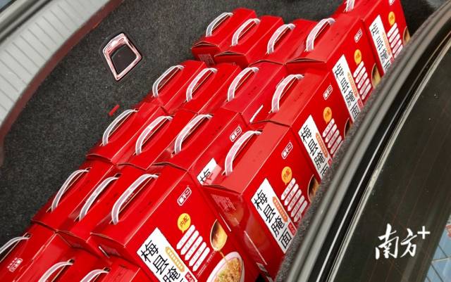 南方+ 何苑妮 拍攝