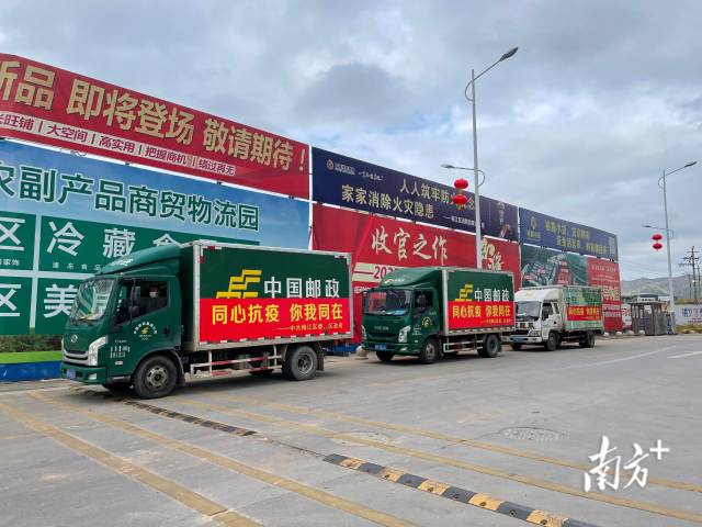 南方+ 何苑妮 拍攝