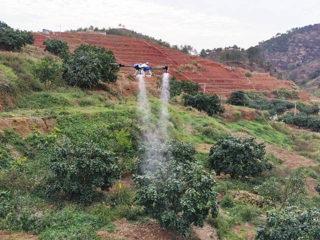 飛防試驗示範現場。 飛防試驗示範現場。