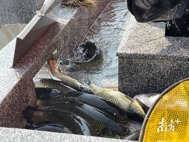 南方+ 羅蔚然 拍攝