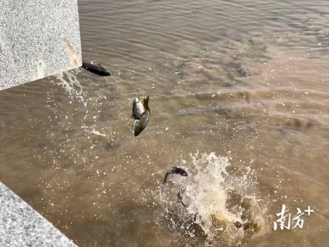 南方+ 羅蔚然 拍攝