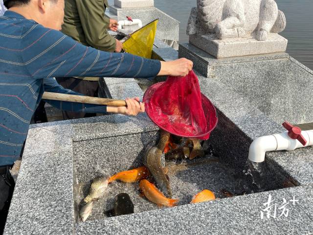 南方+ 羅蔚然 拍攝