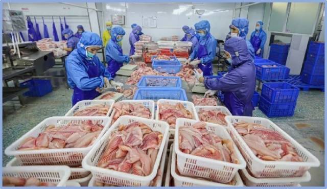 南海區某企業預製菜加工車間。