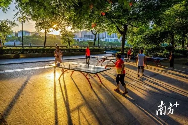 公園內,市民自覺遵守公共場所文明禮儀,文明開展健身鍛煉。南方日報記者 何森垚 攝 圖片