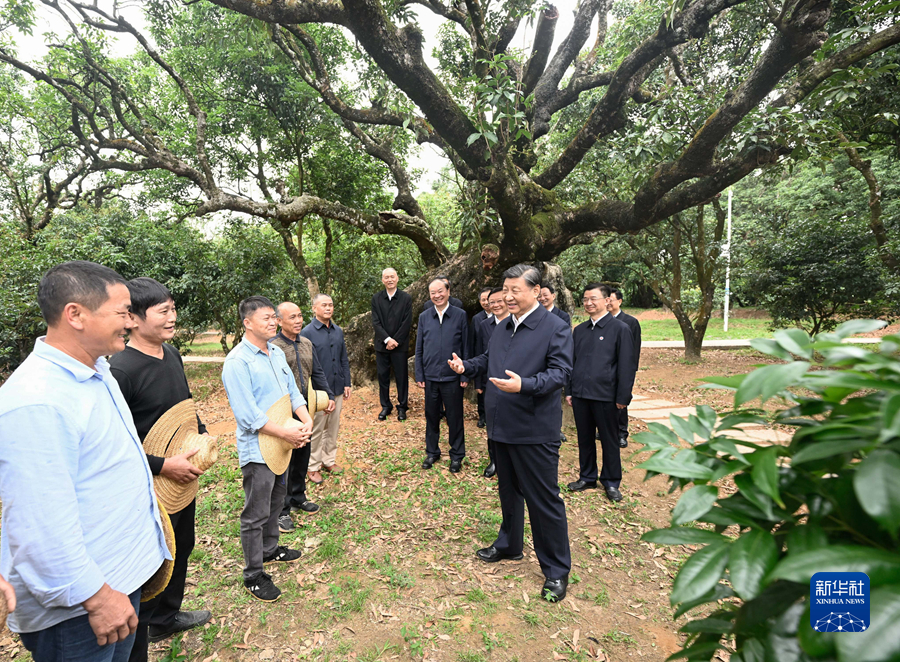 習近平在廣東考察時強調 堅定不移全麵深化改革擴大高水平對外開放 在推進中國式現代化建設中走在前列8.JPG