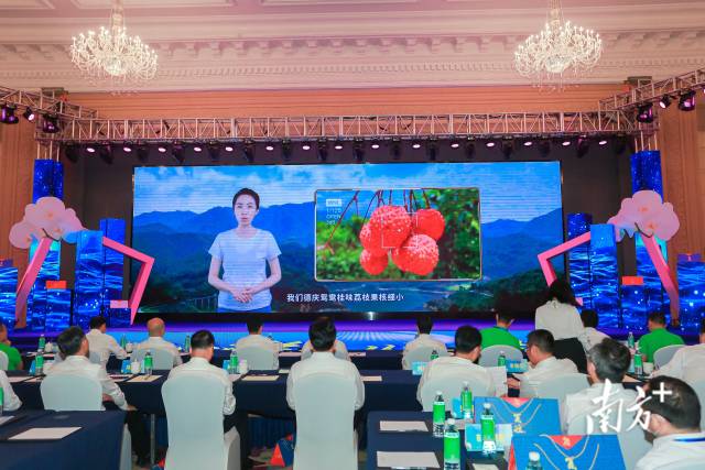 “貢柑妹妹”陳慧以“數字新農人”的形式推薦家鄉德慶荔枝。