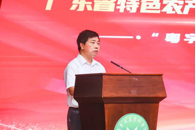 廣東省農業科學院科技合作部主任袁顯 廣東省農業科學院科技合作部主任袁顯