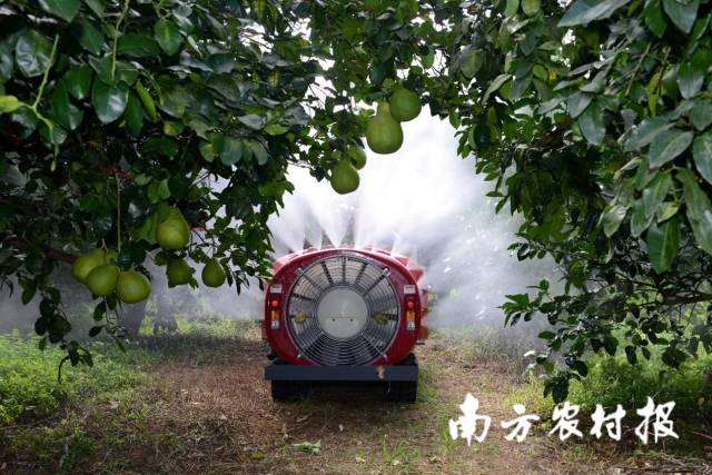 自走風送式果園噴霧機 自走風送式果園噴霧機