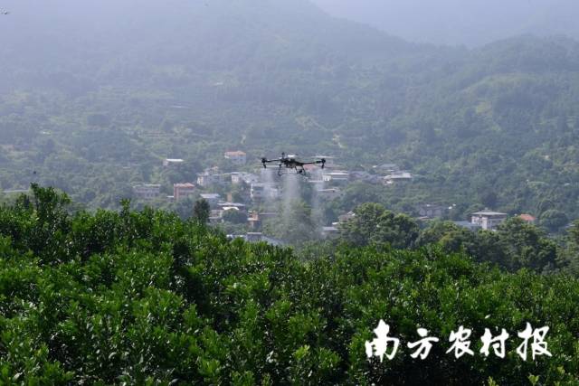 無人機作業場景演示 無人機作業場景演示