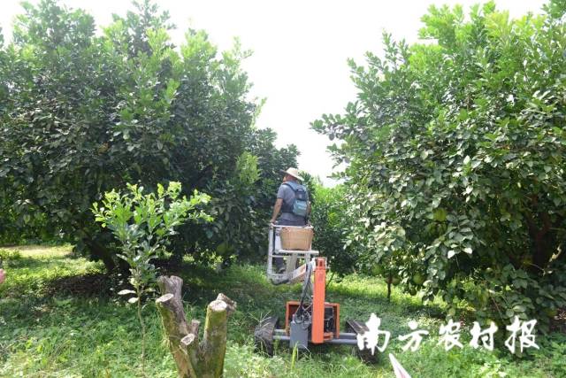 懸臂式高空作業機 懸臂式高空作業機