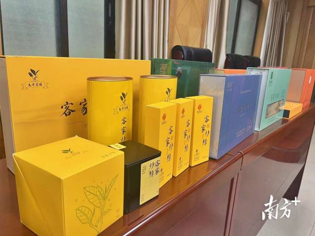 1 南方+ 楊斐君 拍攝