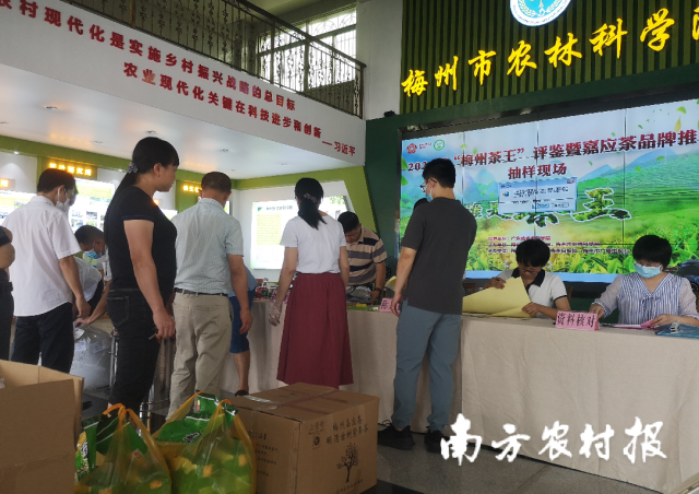 參評茶企送樣。