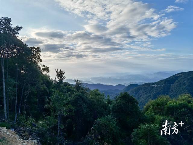    通訊員/受訪者 佚名 供圖