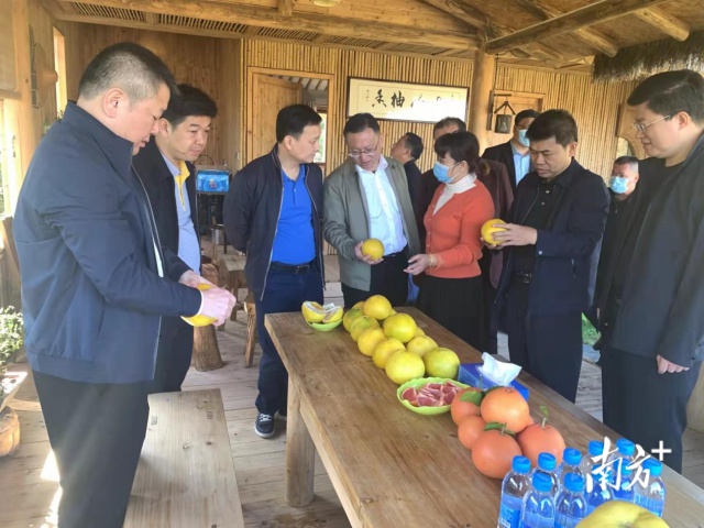 梅州市農業農村局聯合駐鎮成員單位到大埔大東調研鄉村振興幫扶工作