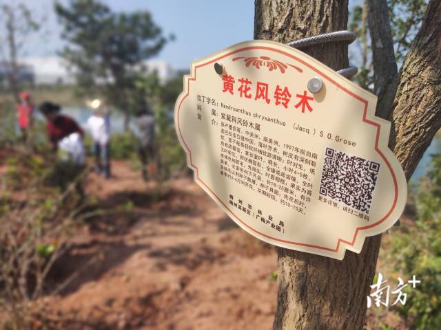 南方+ 馬吉池 拍攝