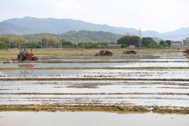 南方+ 何森垚 拍攝