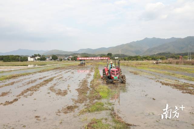 南方+ 陳萍 拍攝