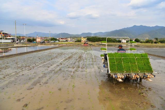 南方+ 何森垚 拍攝