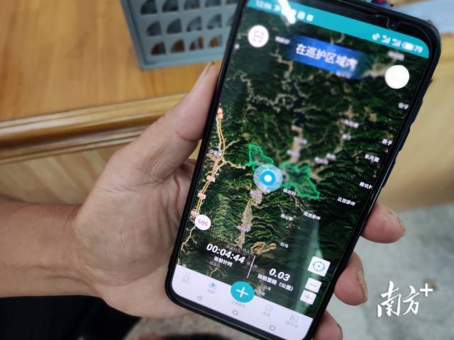 護林員通過手機上的“護林通”APP，記錄巡護工作狀態，實時將數據傳輸至管理中心，促進巡護工作規範化、高效化。  南方+ 馬吉池 拍攝