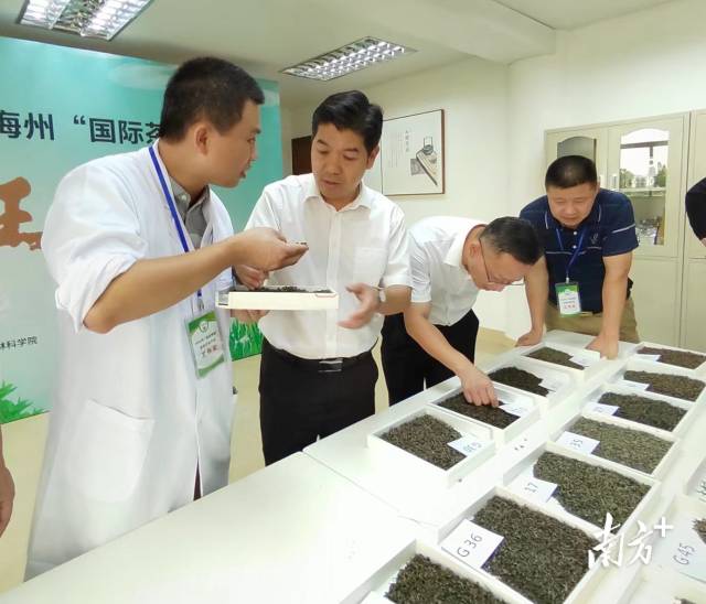 通訊員 佚名 供圖