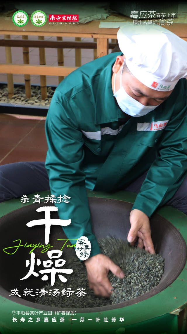 4  南方農村報 楊玲 製圖