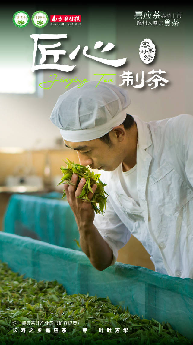 3  南方農村報 楊玲 製圖