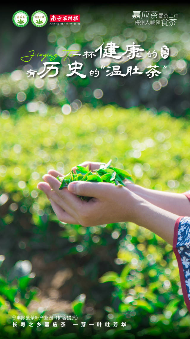 5  南方農村報 楊玲 製圖