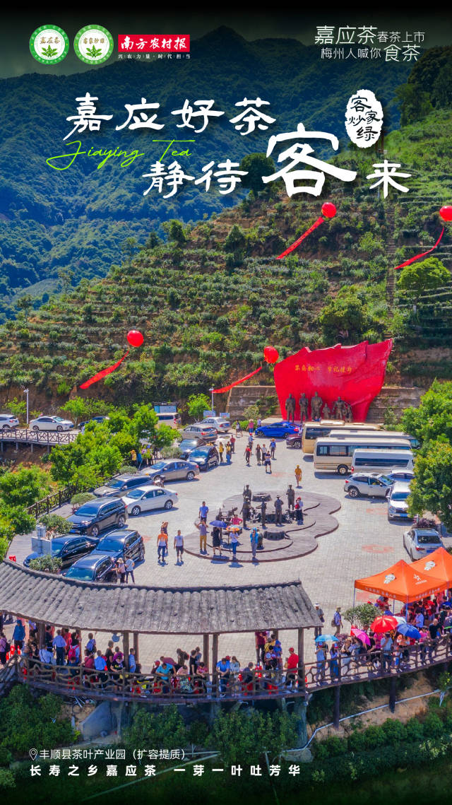 6  南方農村報 楊玲 製圖