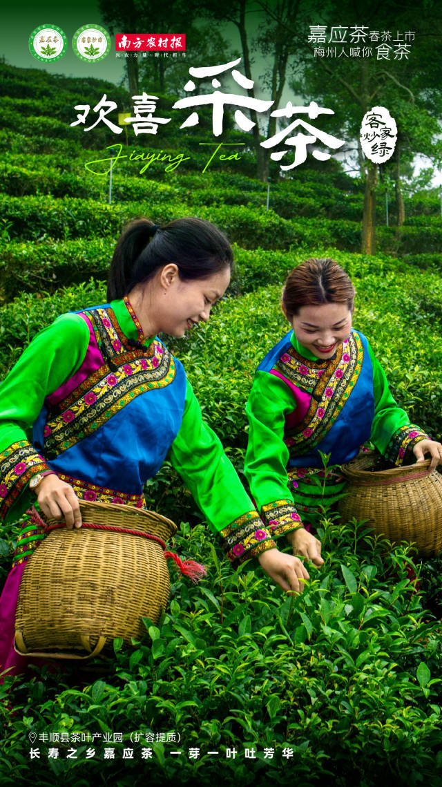 2  南方農村報 楊玲 製圖