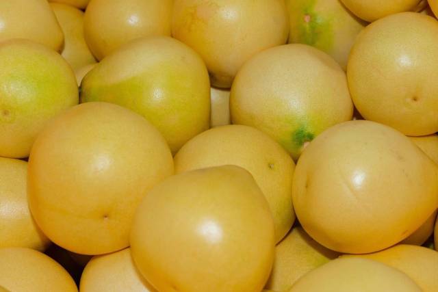 南方農村報 常秦 拍攝