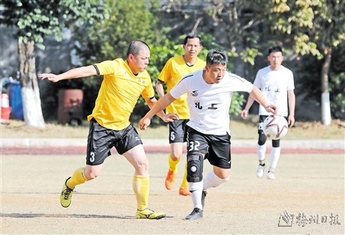 鄉賢齊歡聚 共謀家鄉事
