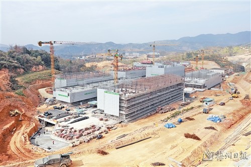 真情幫扶賦能量 攜手共進促發展