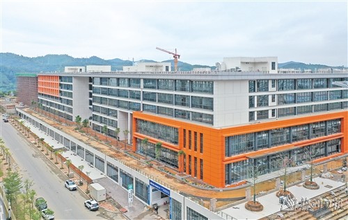 韌性強 活力足 勢頭好