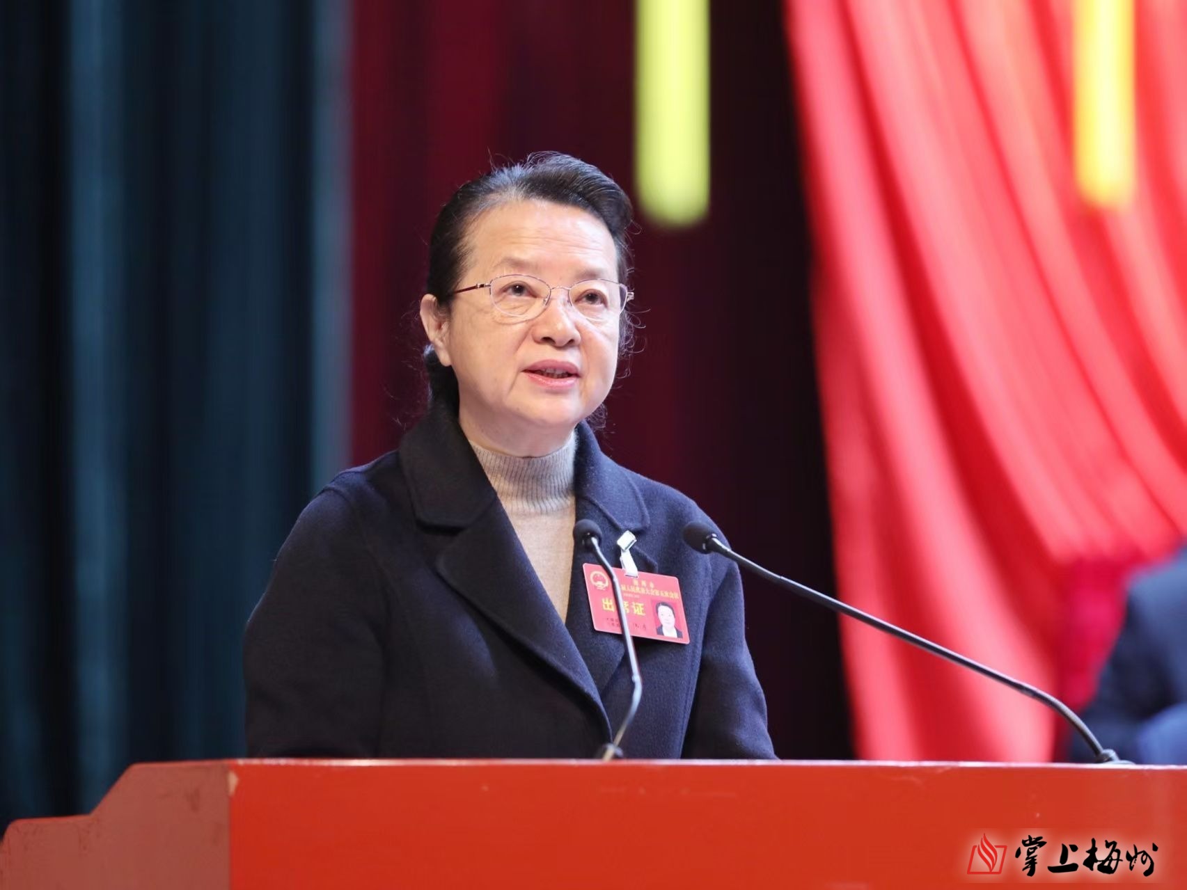 市八屆人大五次會議舉行第二次全體會議