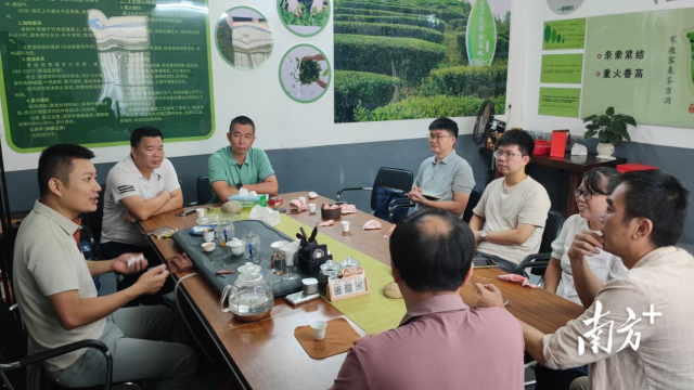 科技專家深紮梅州茶山！綠色防控、土壤改良技術為百億茶產業賦能