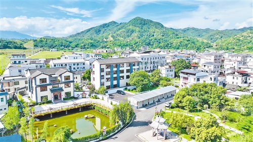 大埔縣積極推動“免費梅州”政策落地：紅利聚團隊 創業添活力