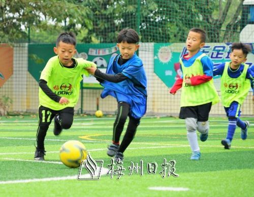 幼兒嘉年華競賽場上，小運動員們積極投入比賽。（市體育局供圖）